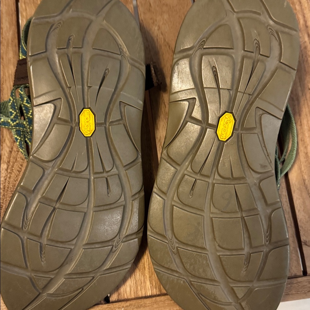 Chaco Olive and Earth Tone Sandals - Picture 3 of 3